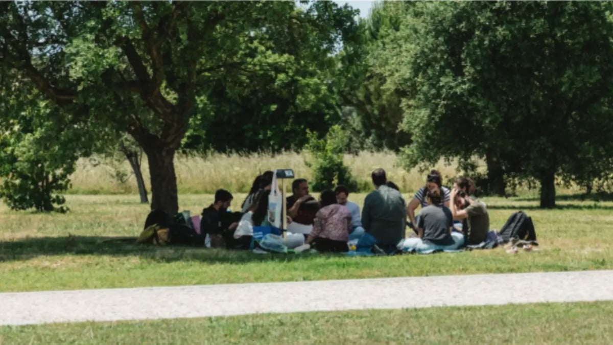 Apac blog democratie vacances