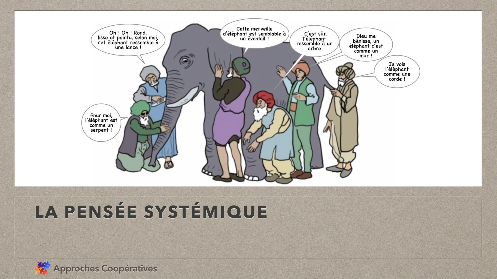 Couverture pense e systemique