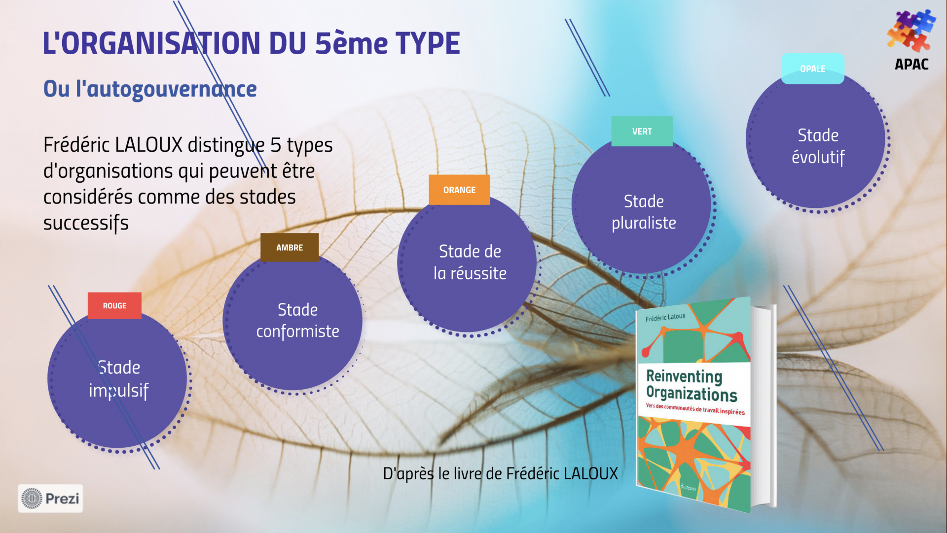 Oganisation 5e type p1