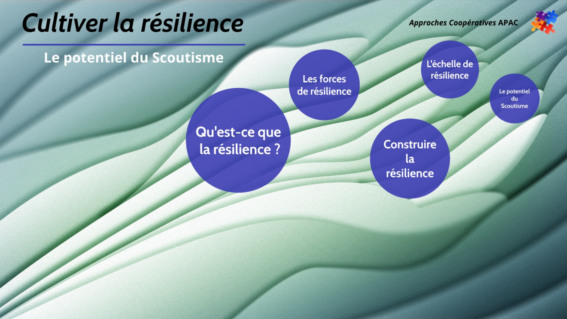 Re silience cover
